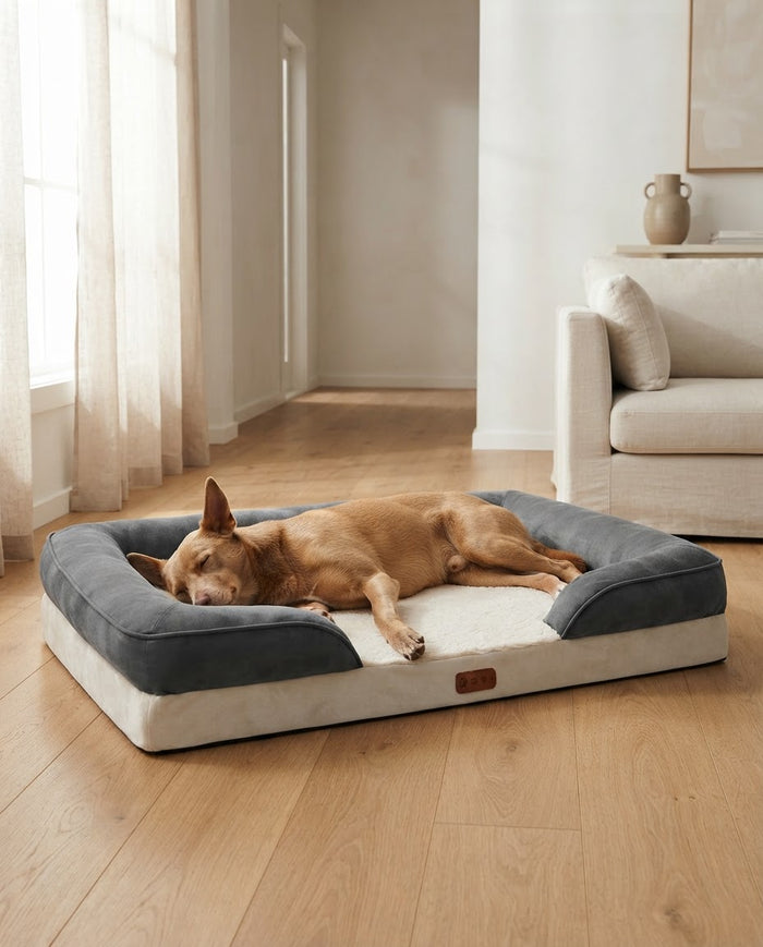 A dog asleep on The Ridge orthopedic sofa dog bed in an Australian living room