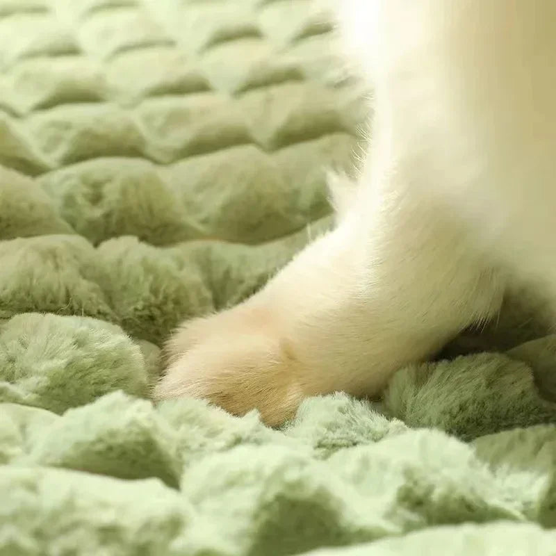 The Flat — Washable Orthopedic Dog Mattress