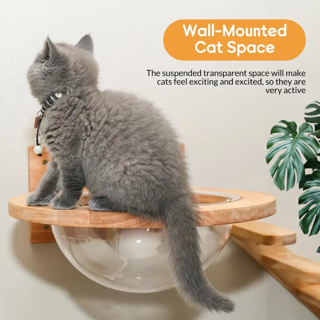The Capsule — Acrylic Cat Bed