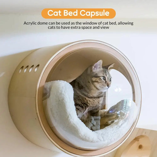 The Capsule — Acrylic Cat Bed