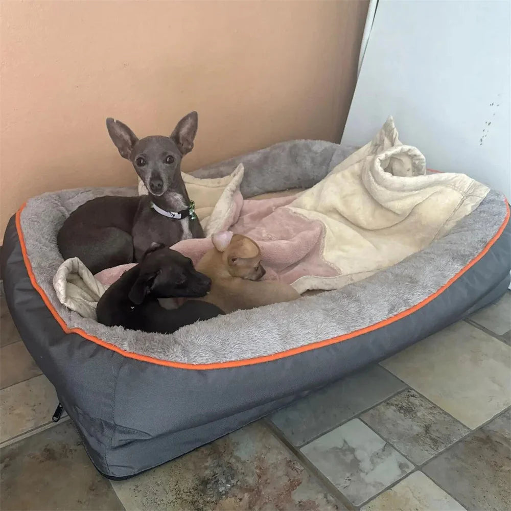 The Hollow — Orthopedic Bolster Dog Bed