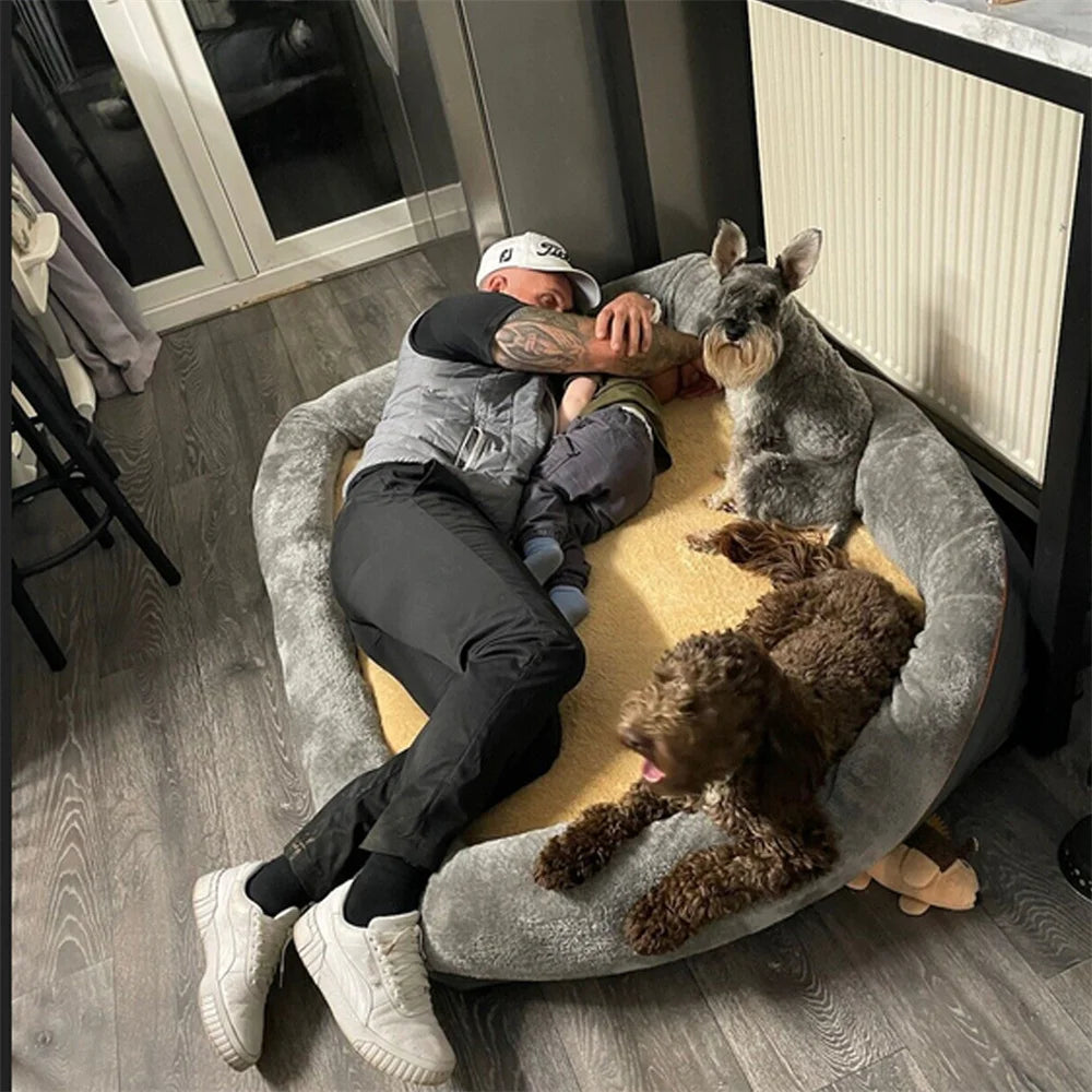 The Hollow — Orthopedic Bolster Dog Bed