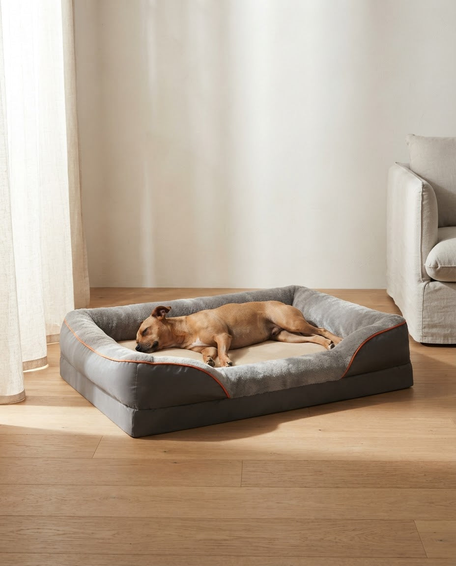 A dog asleep on a Hearth and Hound orthopedic bolster bed in an Australian living room