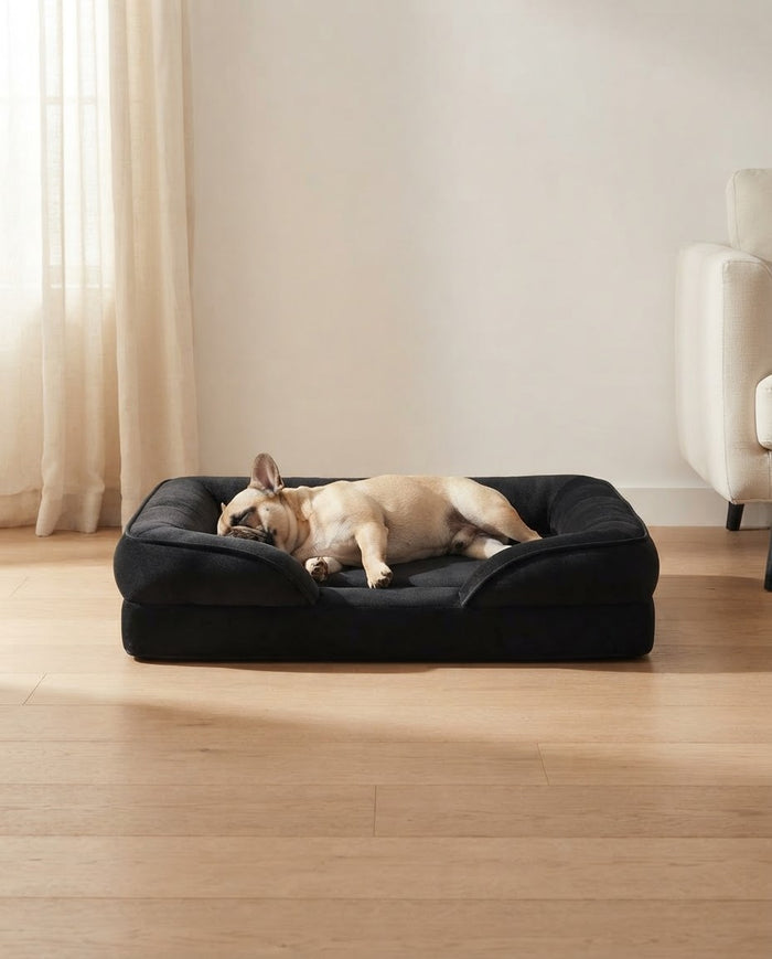 A dog asleep on The Loft low-profile bolster dog bed in an Australian living room
