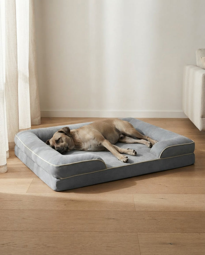 A dog asleep on The Fold memory foam sofa dog bed in an Australian living room