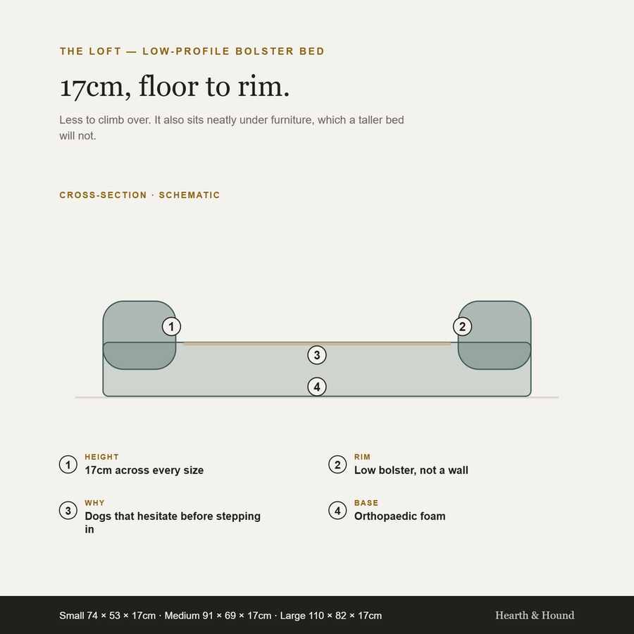The Loft — Low-Profile Bolster Bed — Fits under furniture